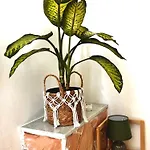 Profumo Di Zagara Bed & Breakfast 3*